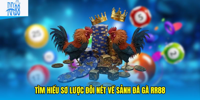 Tìm hiểu sơ lược đôi nét về sảnh đá gà RR88