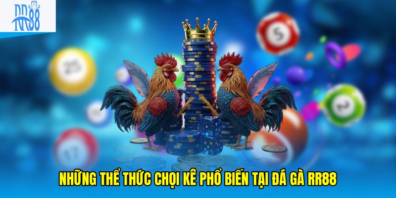 Những thể thức chọi kê phổ biến tại đá gà rr88