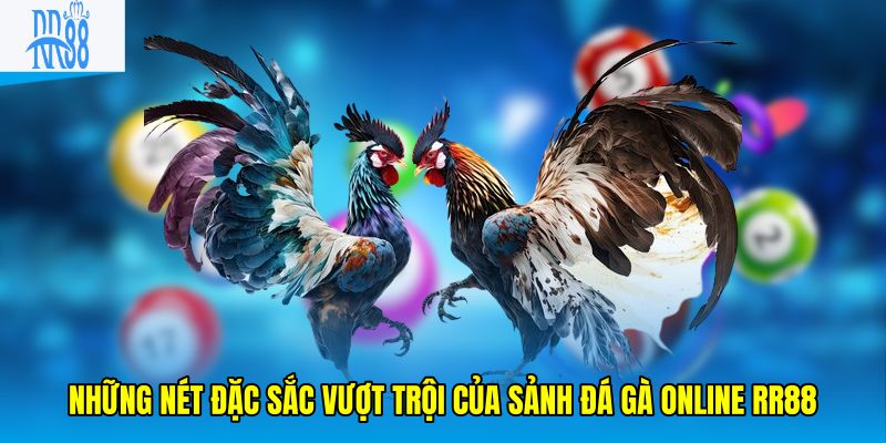 Những nét đặc sắc vượt trội của sảnh đá gà online RR88
